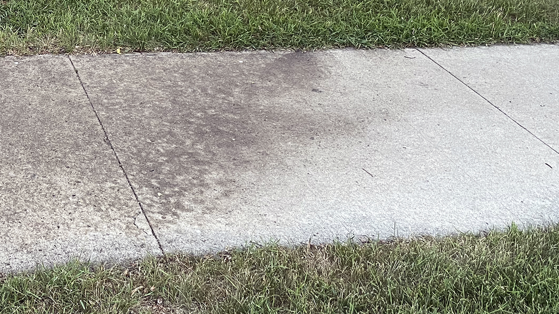 Sidewalk half clean and half with sticky aphid residue