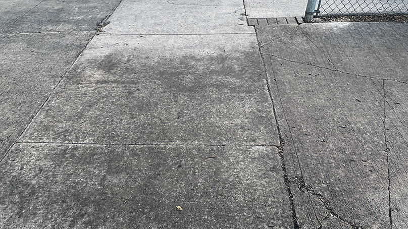Dirty sidewalk coated with aphid residue