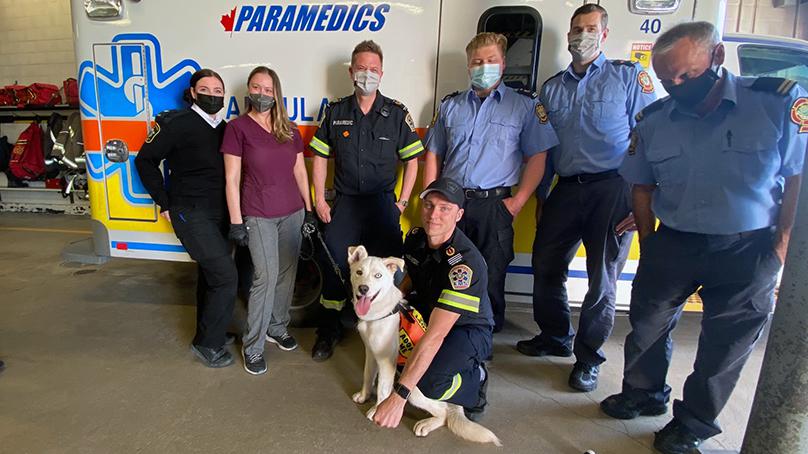 Since her time with WFPS, Cookie went on to find her fur-ever home.