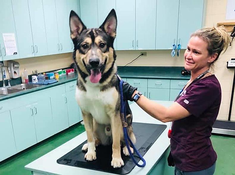 Upcoming Our City, Our Podcast episodes will tackle different topics that impact Winnipeggers, from 311, to Animal Services, to recycling, to Winnipeg Transit and so much more.