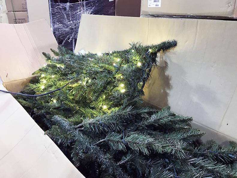 The new City Hall Christmas tree being installed