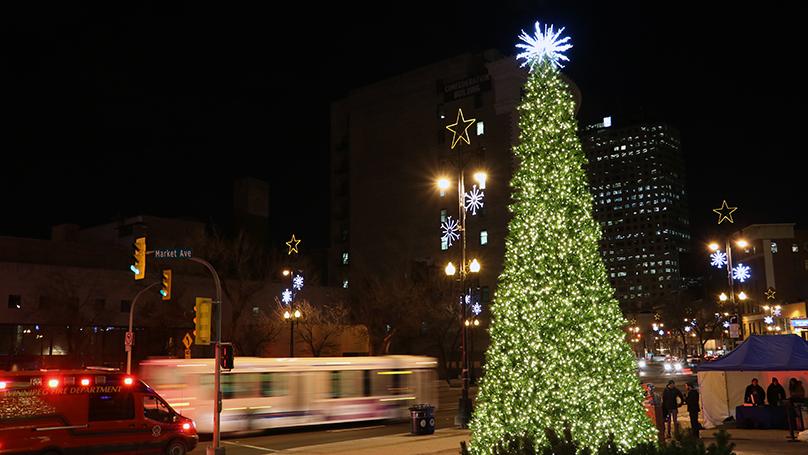 The artificial tree in 2019. The expansion nearly doubles its size.