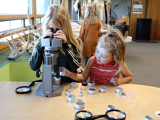 The Loving Lemons Lemonade Stand organizers were given a tour of the Living Prairie Museum to learn more about pollinator conservation.