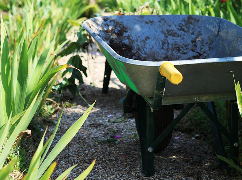 Wheelbarrow in a garden