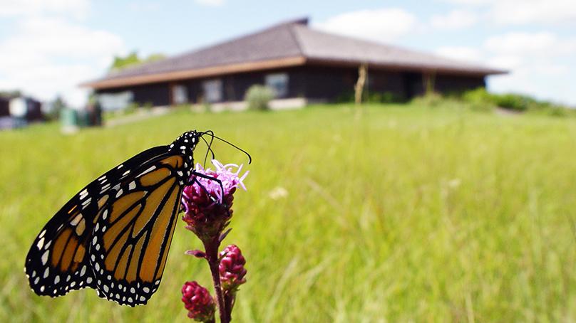 Admission is free at the Living Prairie Museum.