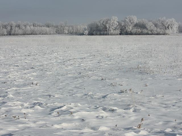 The Living Prairie Museum sits on a 12 hectare preserve set aside in 1968. It features more than 160 species of prairie plants.