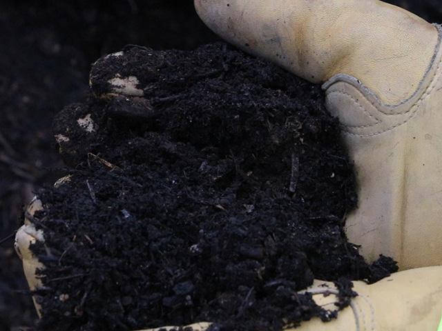 The finished compost product.