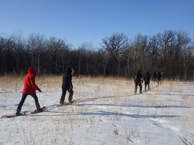 The Living Prairie Museum sits on a 12 hectare preserve set aside in 1968. It features more than 160 species of prairie plants.