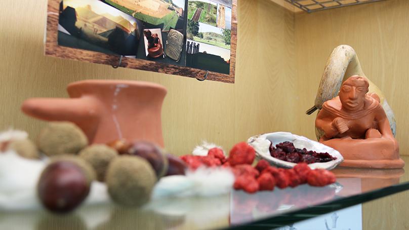 Story Seeds explores the better-known crops and plants domesticated, developed, and harvested by Indigenous people of the Americas.