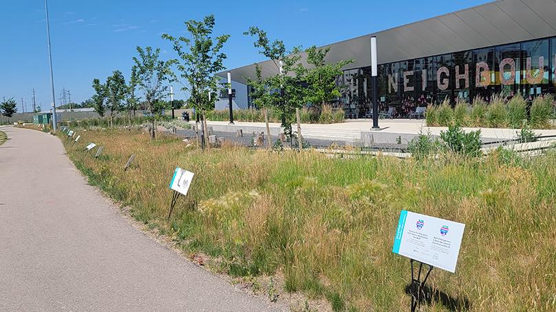 The StoryWalk at Transcona Library.