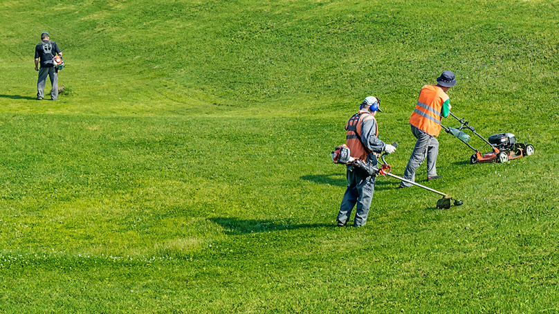 Summer and student labourers are a key part of our seasonal operations in parks, greenspaces, and other outdoor areas.