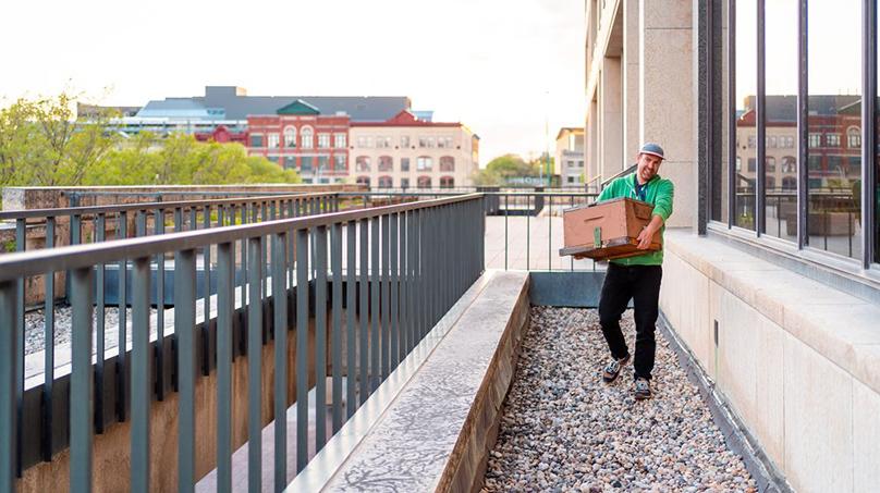 The hive is installed on the Susan A Thompson Building in June 2022. Credit: Beeproject Apiaries / Kyle Thomas Creative