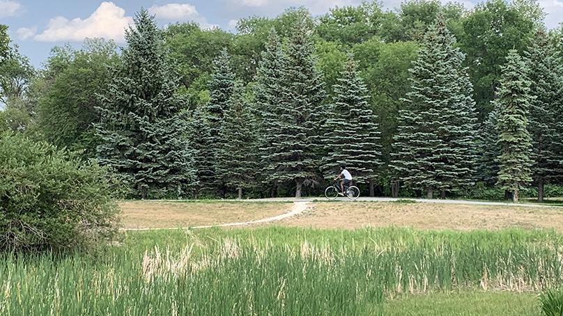 Cycle the trails at King's park