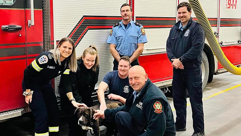 The Station Doggie Dates program launched in 2022 and has adoptable dogs from Animal Services spend time in Winnipeg Fire Paramedic Stations.
