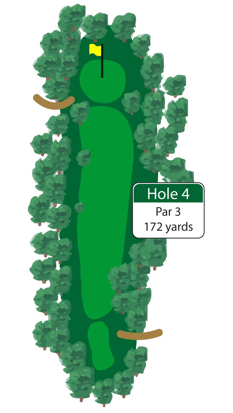 This mid length par 3 requires an accurate tee shot in order to avoid the many trees that line each side of the fairway.