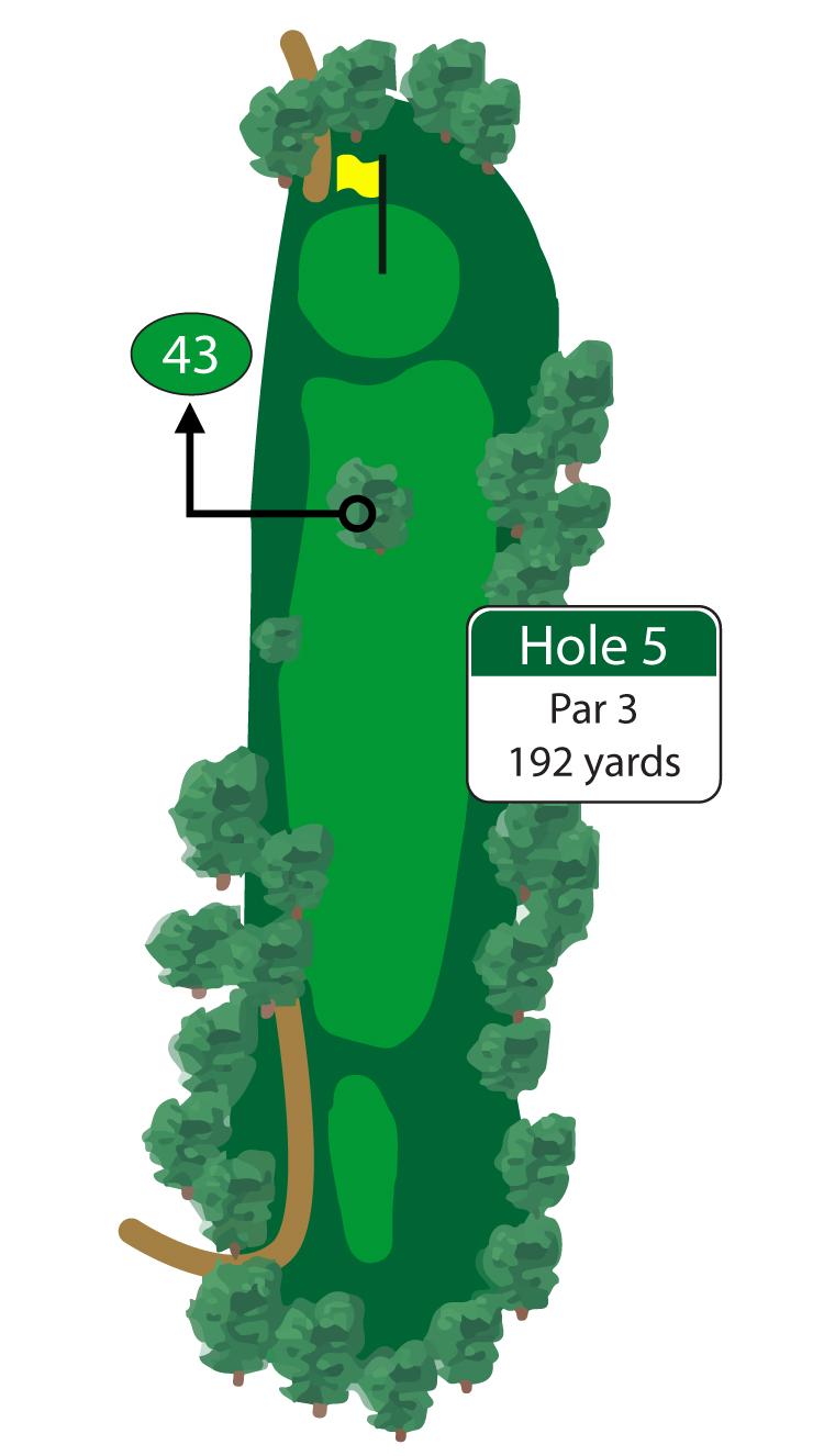 Be sure to avoid the large tree in the middle of the fairway on this long par 3. Leaving the 5th hole with par is a great achievement.
