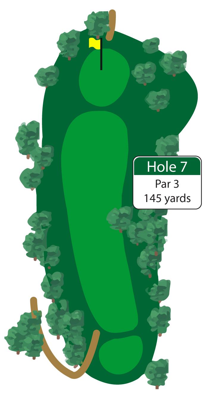 This shorter par 3 requires an accurate tee shot to tiny target.