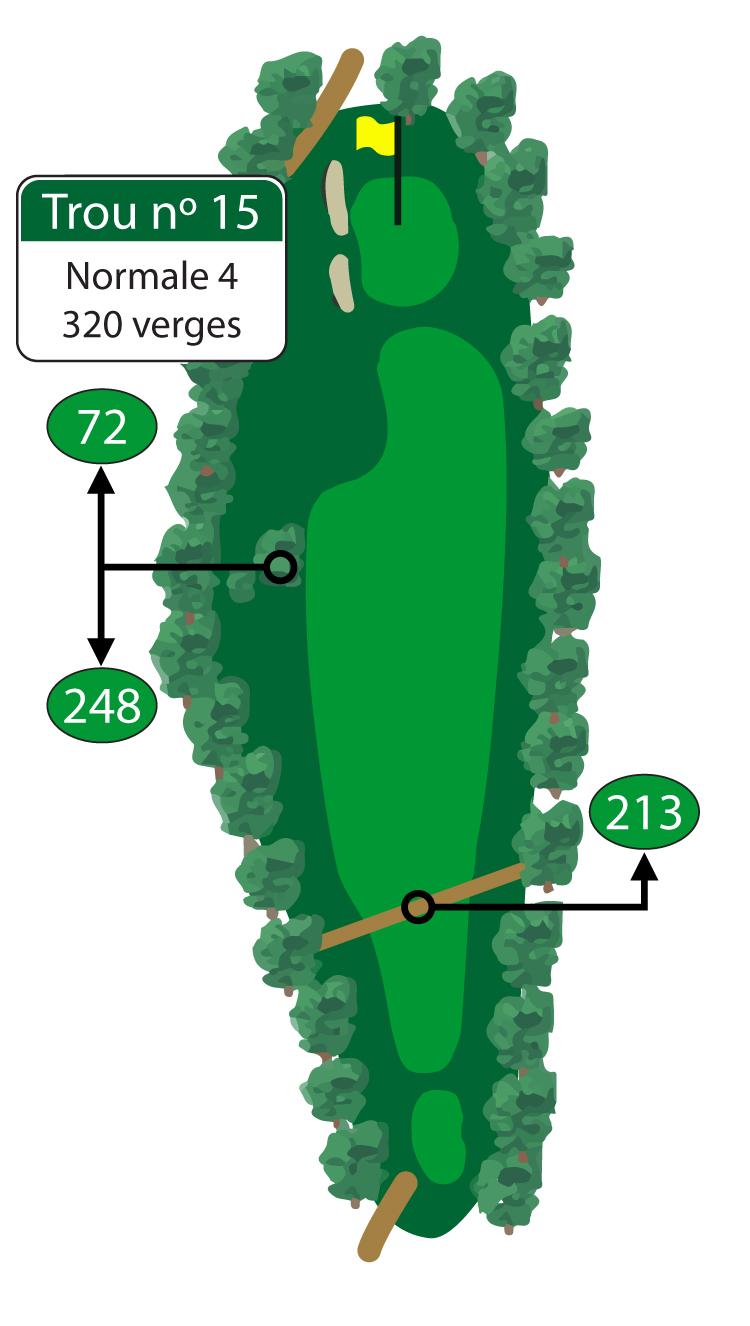 Il est possible de réussir un oiselet sur ce court par 4. Une allée large et dégagée menant à un grand vert plan offre aux golfeurs une occasion en or de réduire leur score à l’approche des trois derniers trous.