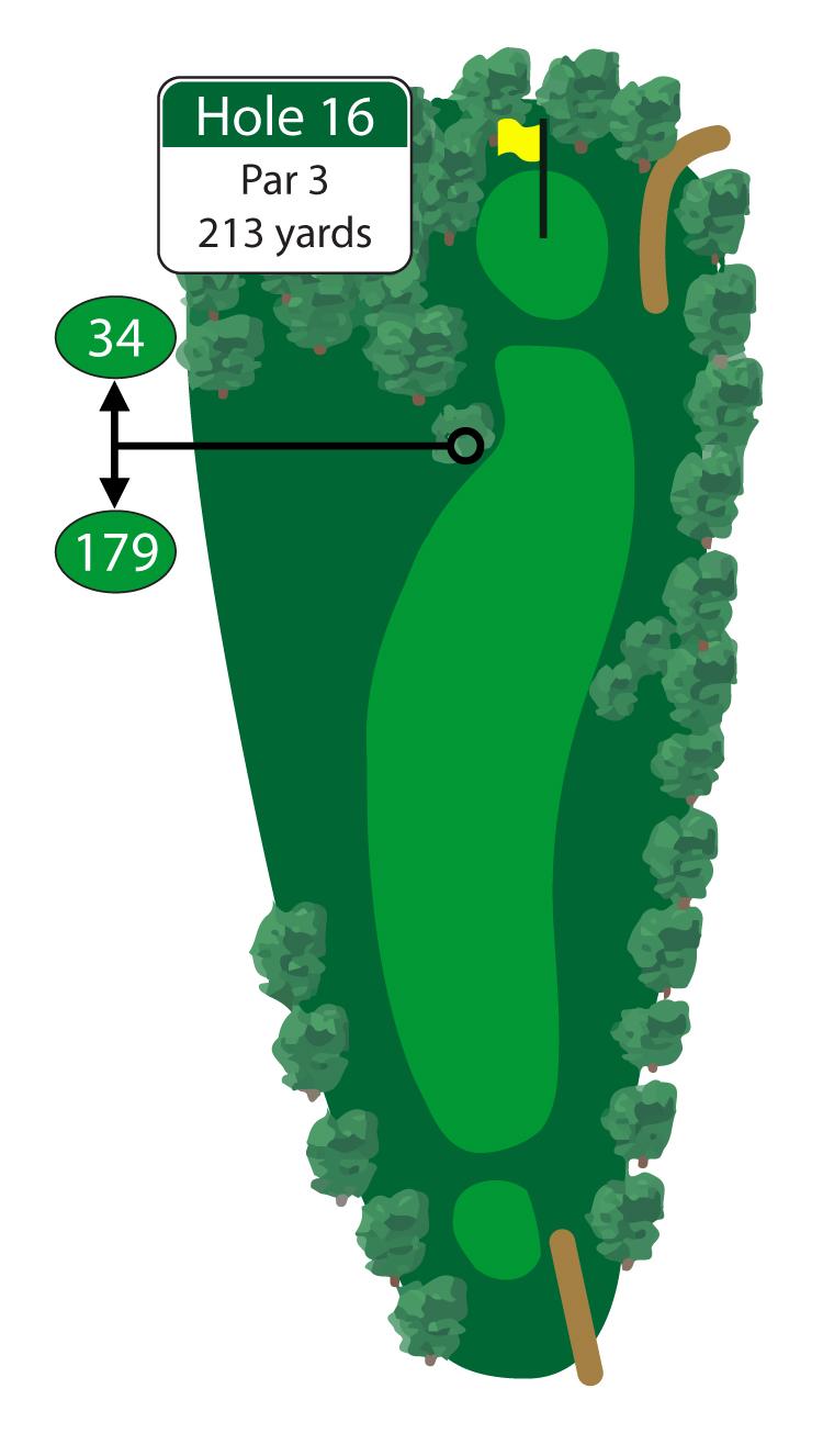 Another long challenging par 3 that will test your ability to make par. Avoid the right side of this hole which is heavily treed and will make any stray shots tough to find.