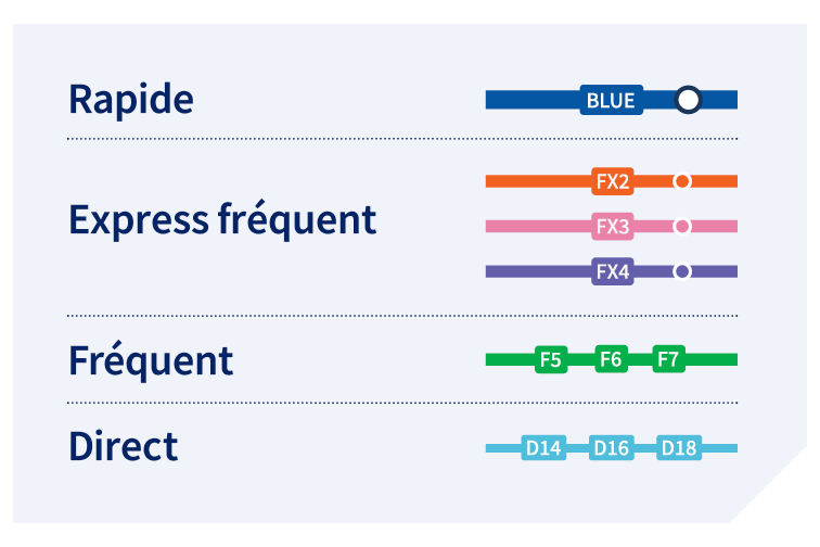 Le réseau de transport en commun principal est composé des : lignes de transport rapide, lignes express fréquentes, lignes fréquentes et lignes directes.