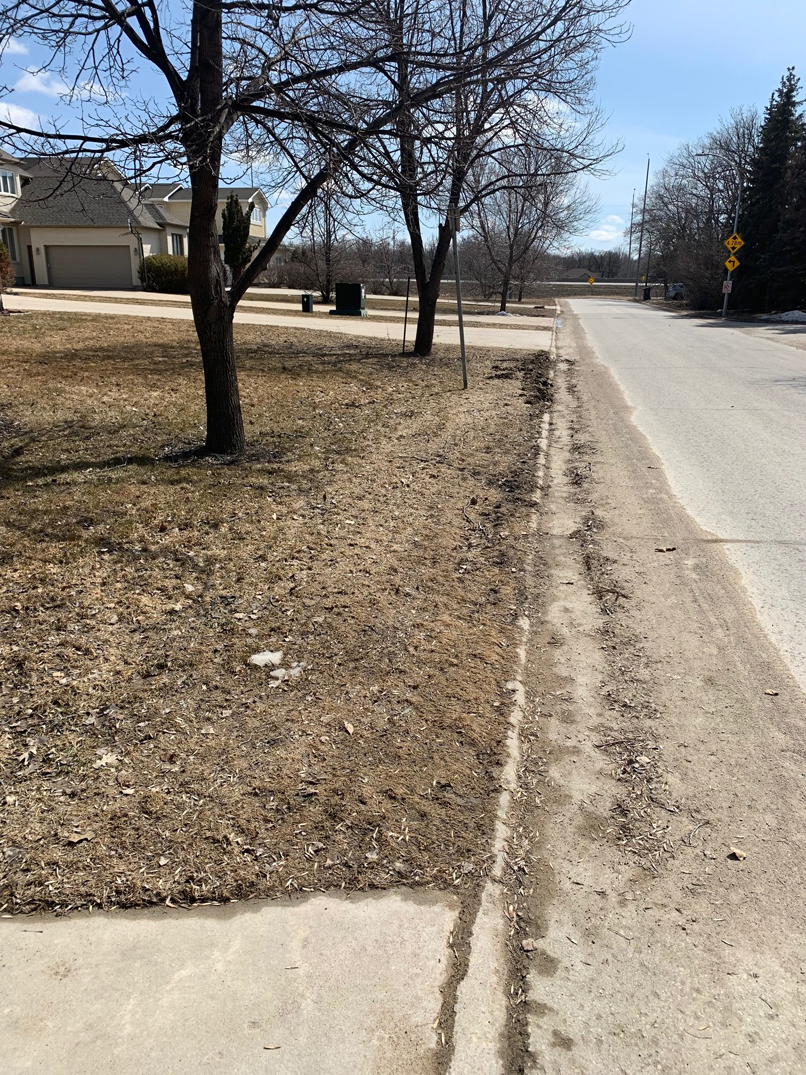 This boulevard DOES NOT meet the criteria. If your boulevard looks like this, it is your responsibility to clean.