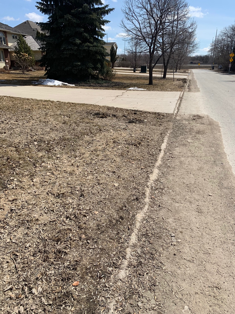 This boulevard does meet the criteria. If your boulevard looks like this, please report it to 311 before June 1.