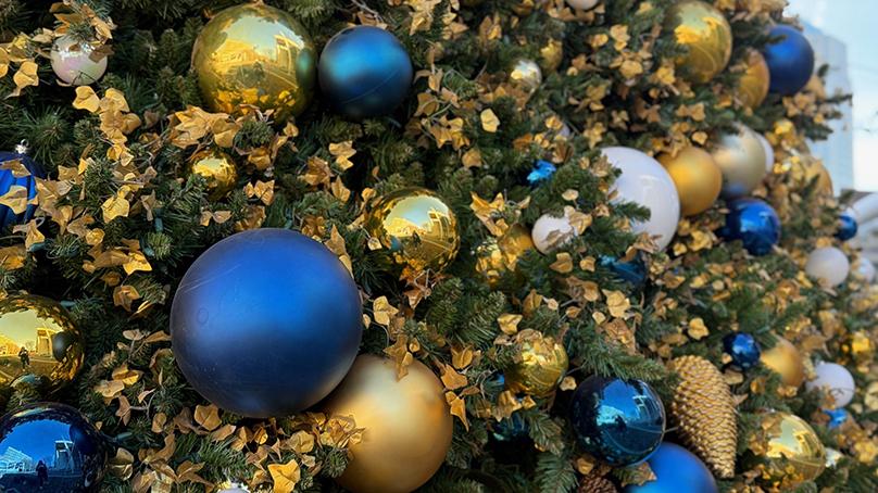 There are more than 8,000 decorations on the City Hall Christmas tree.